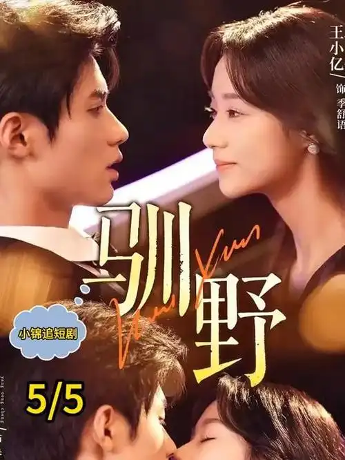 雾里灯塔 好看的电视剧全集在线观看